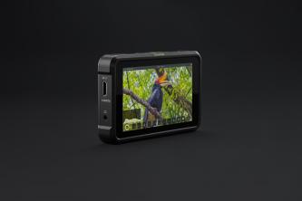 Atomos Shinobi 5.2" 4K HDMI Monitor