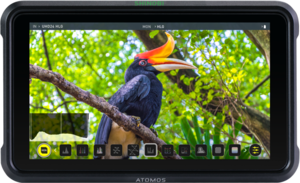 Atomos Shinobi 5.2" 4K HDMI Monitor